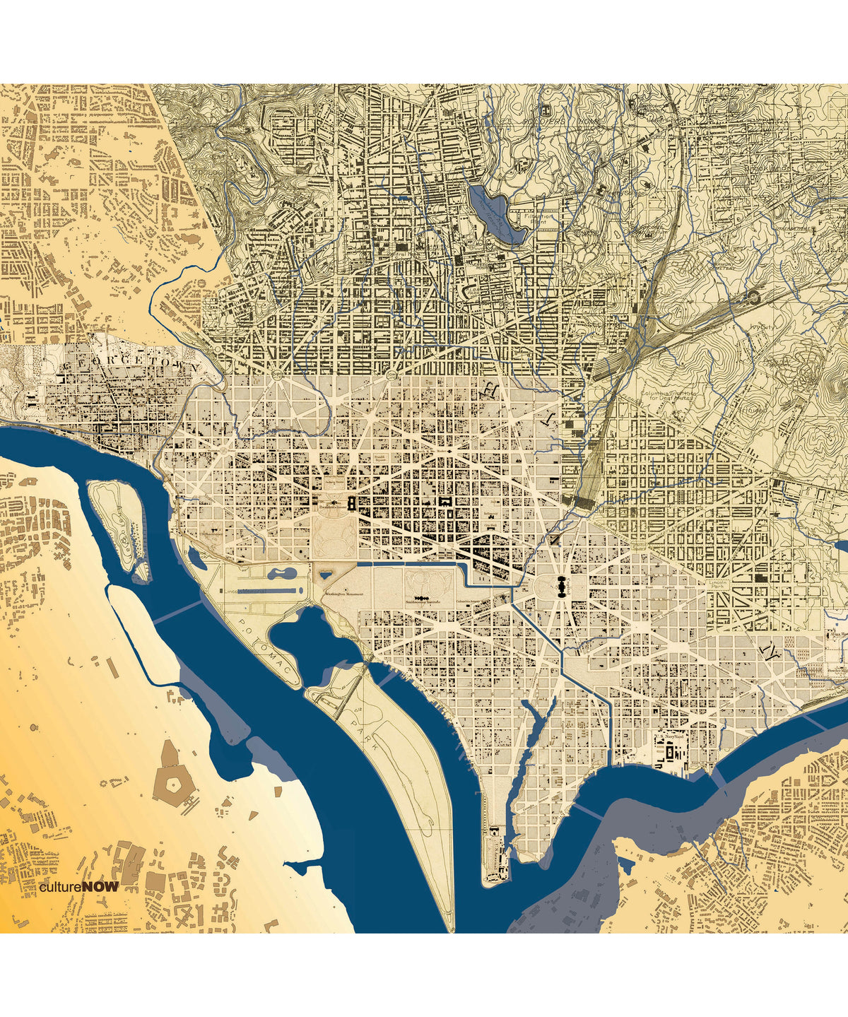 Historic Washington DC THEN Silk Scarf