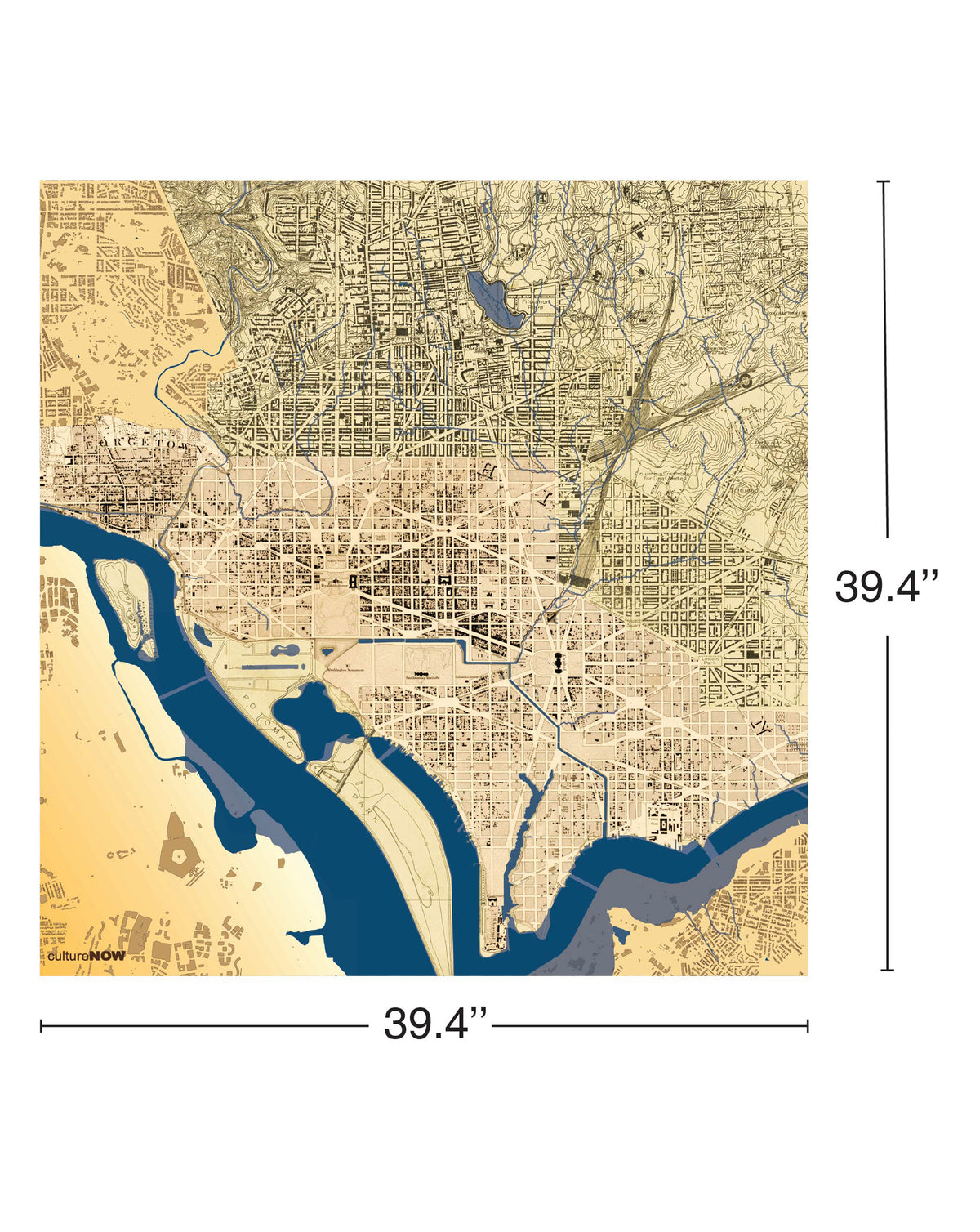 Historic Washington DC THEN Silk Scarf